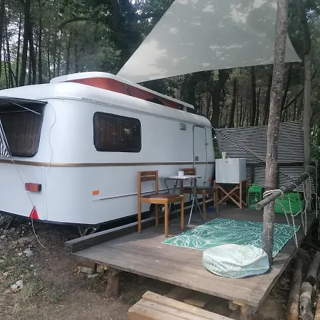 Ecoclub Βάρνα