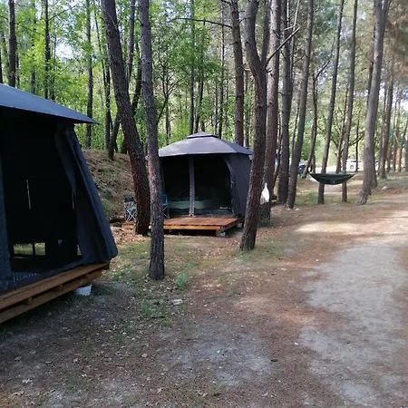 Ecoclub * וארנה