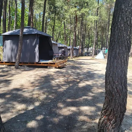 Ecoclub * וארנה