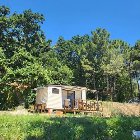 Ecoclub キャンプ場