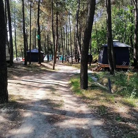 Ecoclub Варна